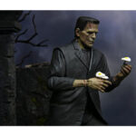 NECA Universal Monsters FRANKENSTEIN - Image 2